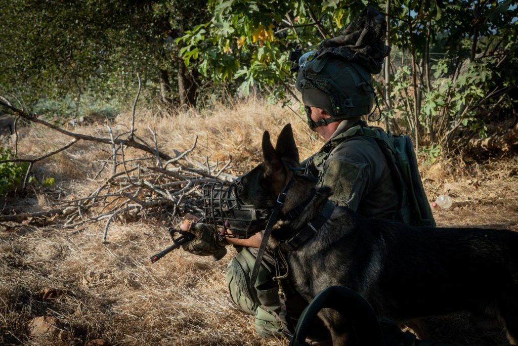 צפו בתרגיל המטכ"לי 'חץ קטלני' צפו בתרגיל המטכ"לי 'חץ קטלני'