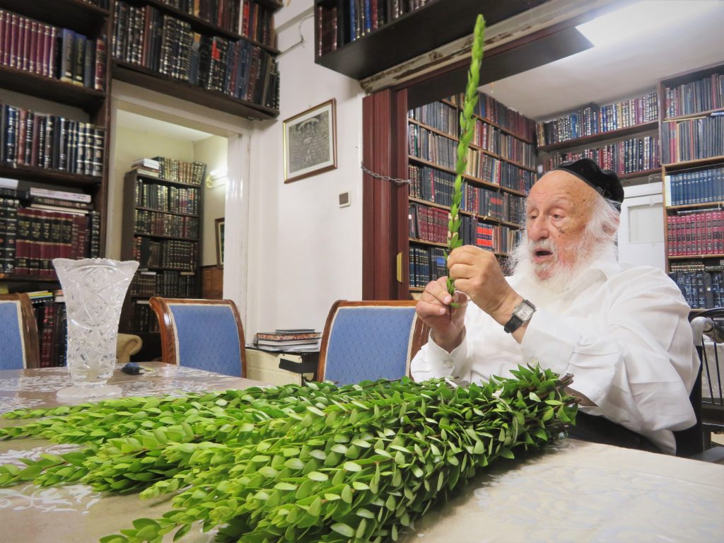 עֲלֵי הֲדַס וַעֲלֵי תְמָרִים: ראש הישיבה הגרב"ד בבחירת הדסים