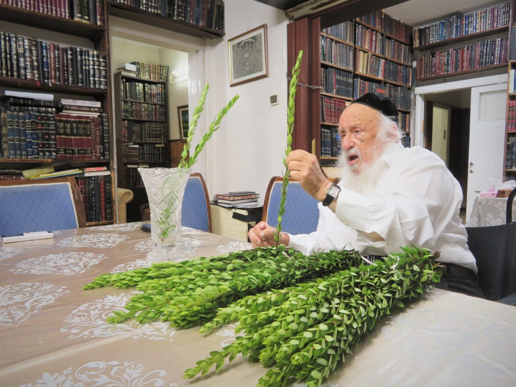 עֲלֵי הֲדַס וַעֲלֵי תְמָרִים: ראש הישיבה הגרב"ד בבחירת הדסים