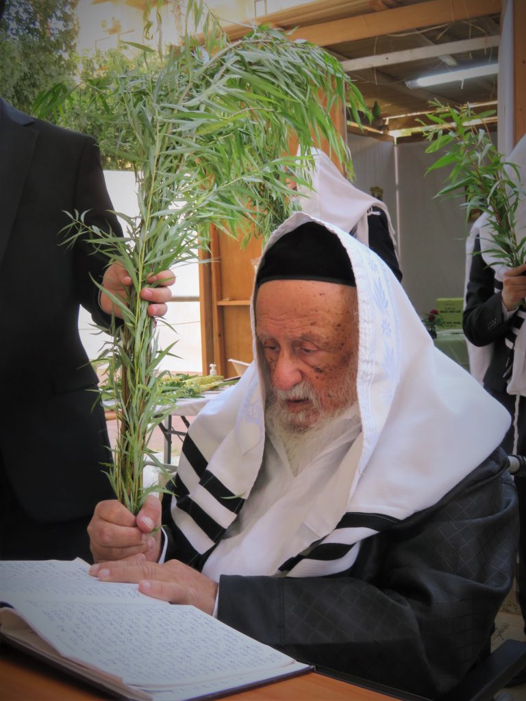 אֲמָרַי רְצֵה בְּפִלּוּלִי בְּיוֹם הוֹשַׁעְנָא • הושענא רבא בצילו של ראש הישיבה הגרב"ד פוברסקי