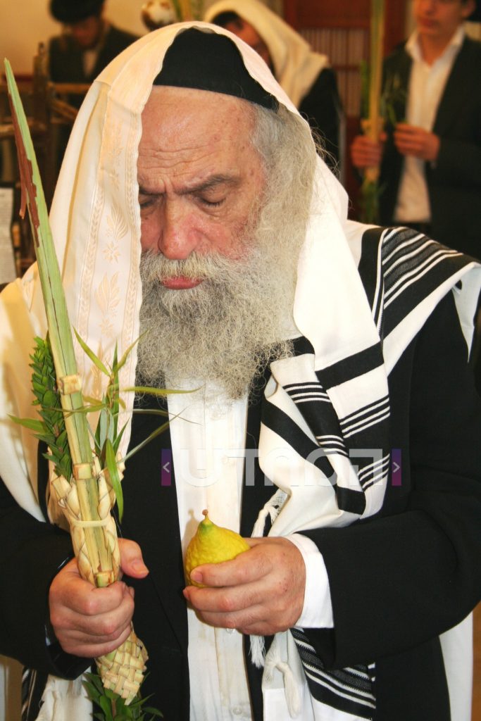 גלריה מיוחדת: גדולי הדור זצוק"ל בנטילת לולב