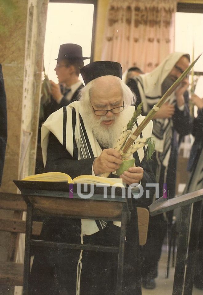 גלריה מיוחדת: גדולי הדור זצוק"ל בנטילת לולב