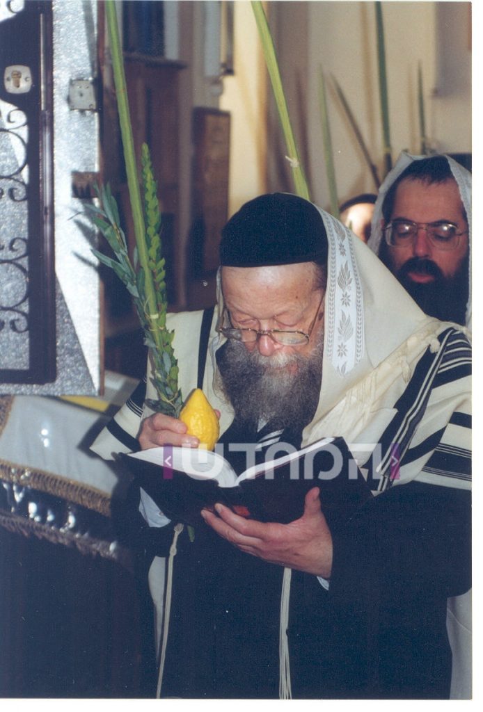 גלריה מיוחדת: גדולי הדור זצוק"ל בנטילת לולב