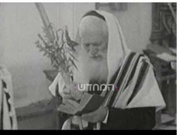 גלריה מיוחדת: גדולי הדור זצוק"ל בנטילת לולב