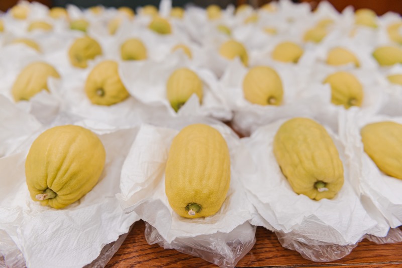 ההכנות במוסקבה לקראת חג סוכות בטוח ומוגן