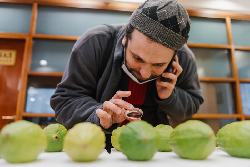 ההכנות במוסקבה לקראת חג סוכות בטוח ומוגן