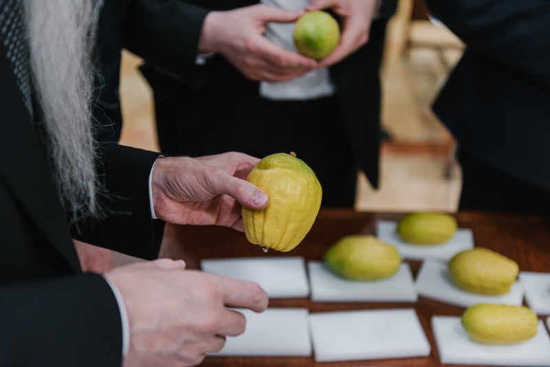 ההכנות במוסקבה לקראת חג סוכות בטוח ומוגן