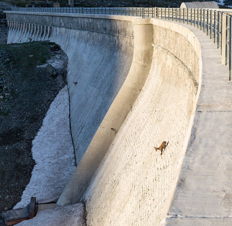 ילד בלע 27 מגנטים • הכותרות והתמונות מהעולם