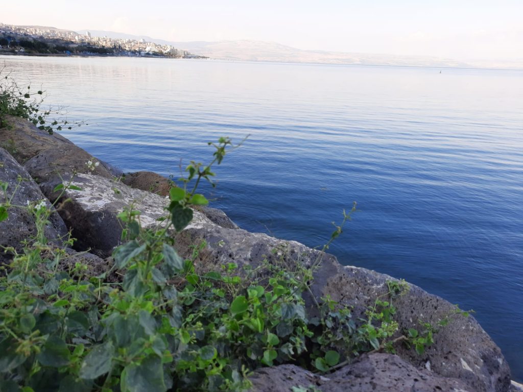 הכנרת כפי שלא ראיתם מעולם • גלריה מדהימה