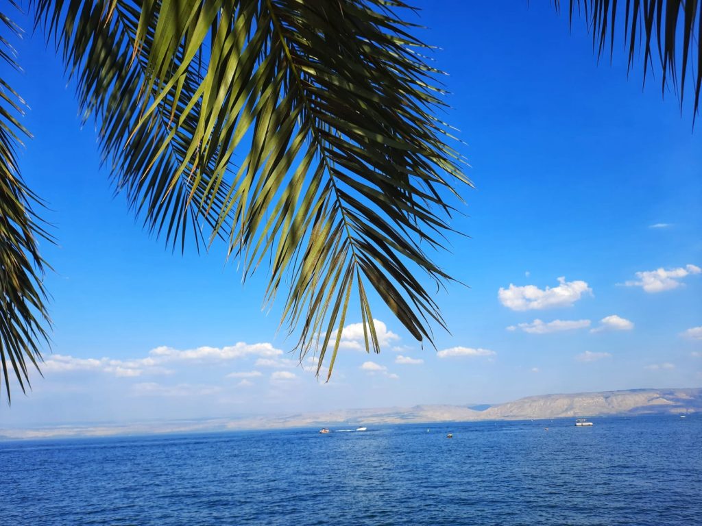 הכנרת כפי שלא ראיתם מעולם • גלריה מדהימה