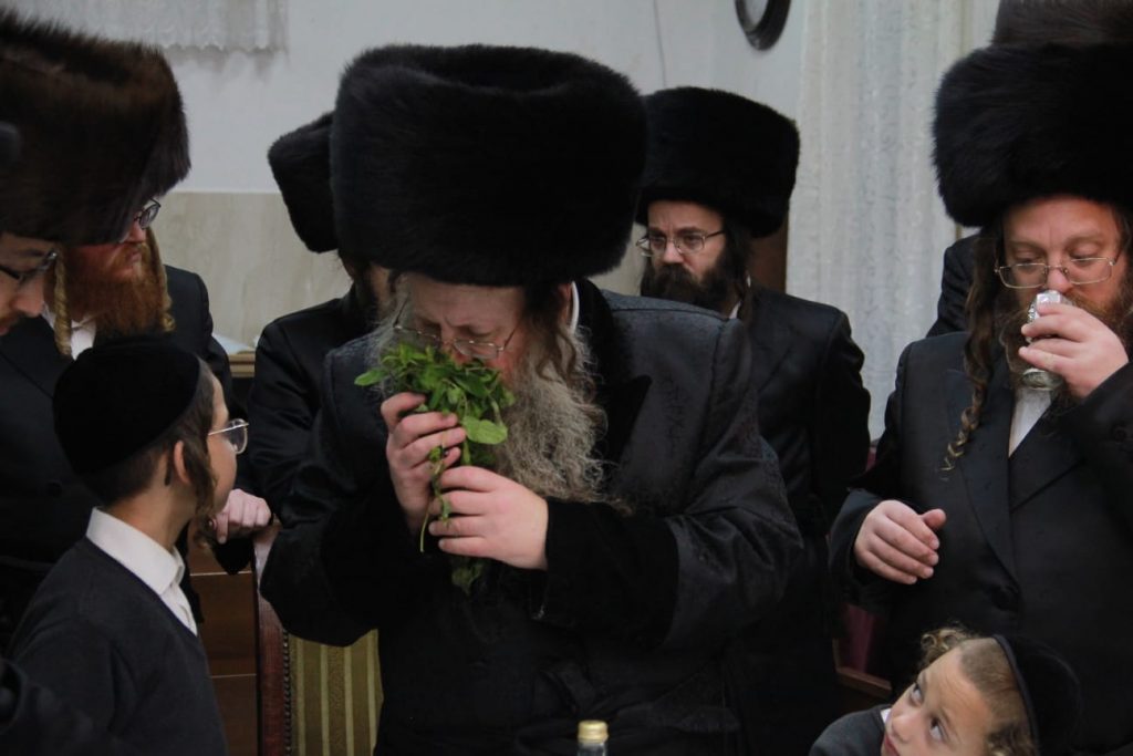 מוצאי שבת שבע ברכות והבדלה בקוזמיר בבני ברק