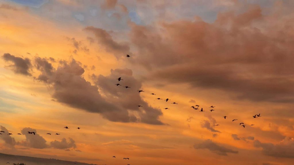תיעוד ההצפות בחדרה: תחזית מעודכנת