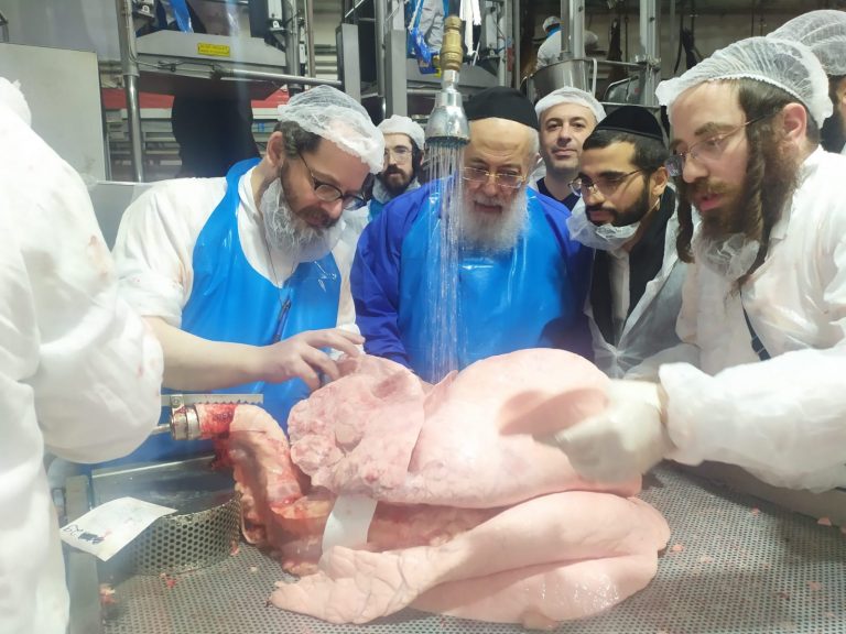 שיתוף פעולה נדיר: הגרש"מ עמאר ביקר במשחטות של "העדה החרדית"