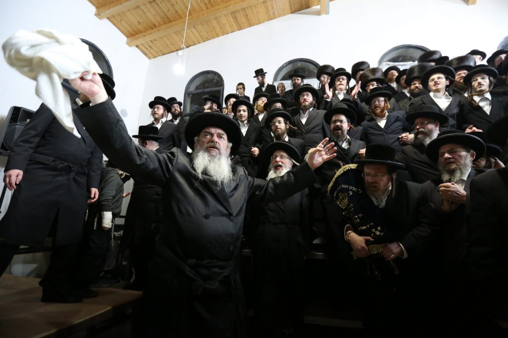 תיעוד: הכנסת ספר תורה לביהמ"ד לעלוב בצפת