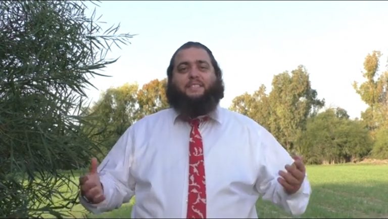 צפו: פרשת וישלח עם הרב ישראל דרעי