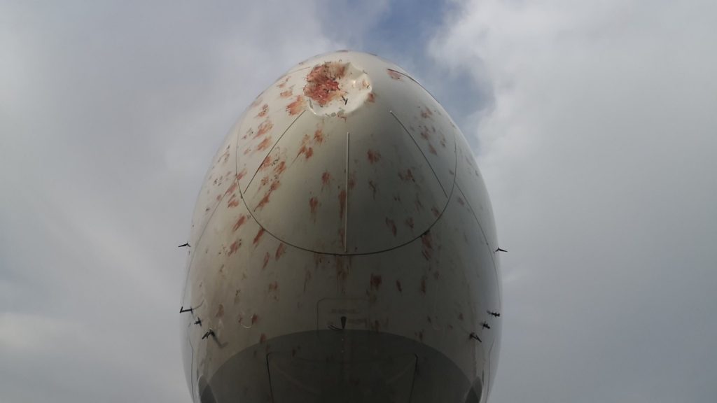 תיעוד: הציפורים פגעו במטוס וגרמו לנחיתת חירום