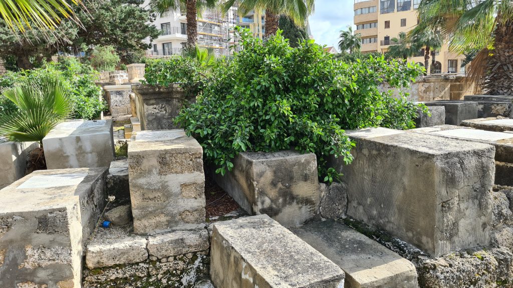 סערת ההזנחה בבית הקברות היהודי ביפו נמשכת • תיעוד