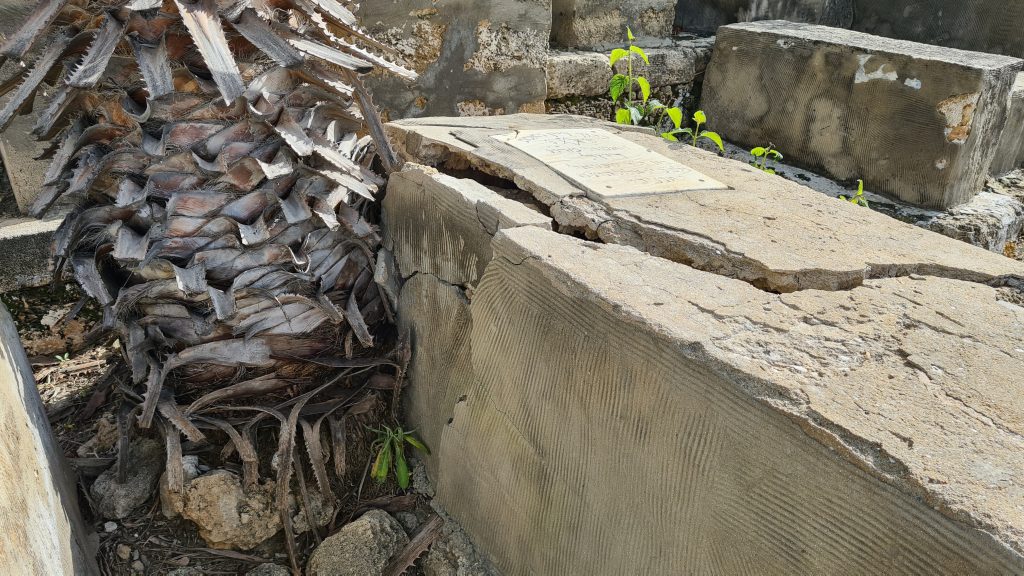 סערת ההזנחה בבית הקברות היהודי ביפו נמשכת • תיעוד