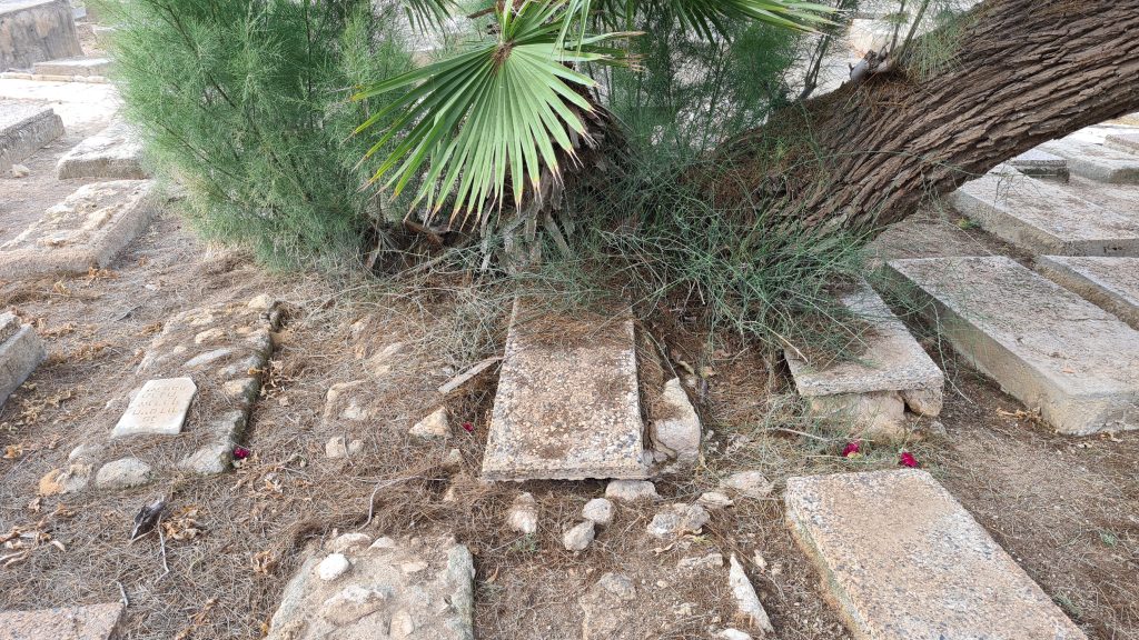 סערת ההזנחה בבית הקברות היהודי ביפו נמשכת • תיעוד