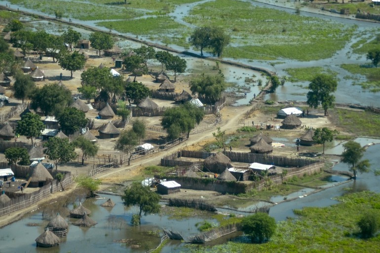 קרון רכבת מיוחד לכלבים, וטראמפ קיצר חופשה • הכותרות מהעולם