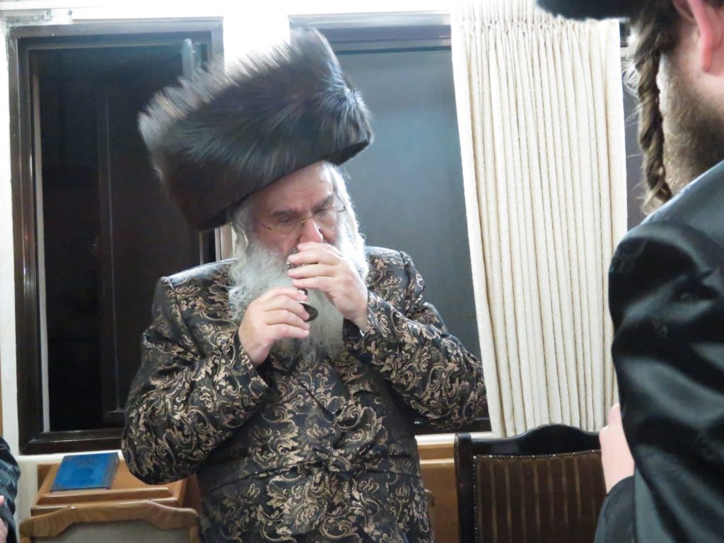 תיעוד: ההבדלה הראשונה של בן האדמו''ר מדינוב