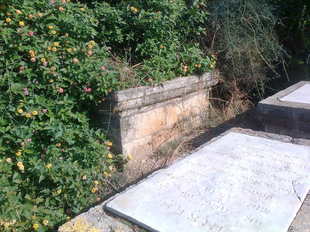 תיעוד: הזנחה משוועת בבית הקברות היהודי העתיק ביפו