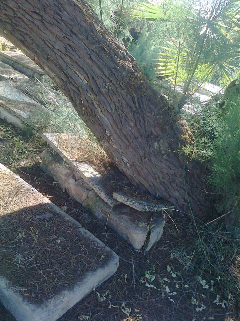 תיעוד: הזנחה משוועת בבית הקברות היהודי העתיק ביפו