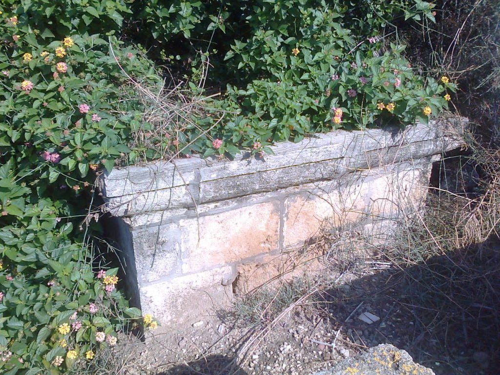 תיעוד: הזנחה משוועת בבית הקברות היהודי העתיק ביפו