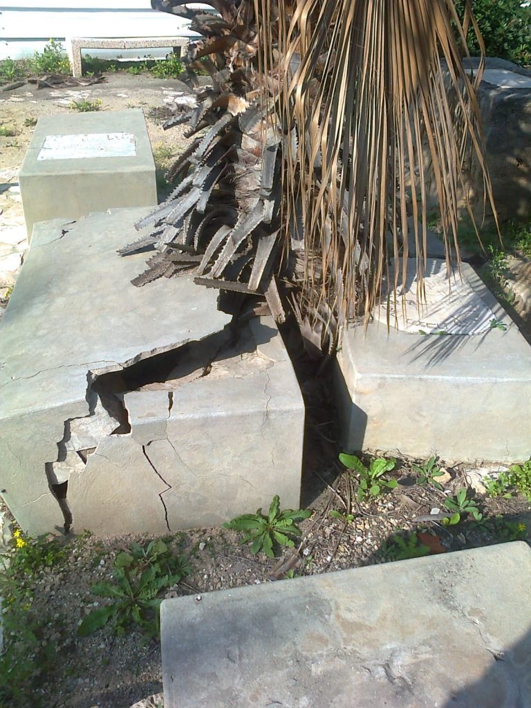 תיעוד: הזנחה משוועת בבית הקברות היהודי העתיק ביפו