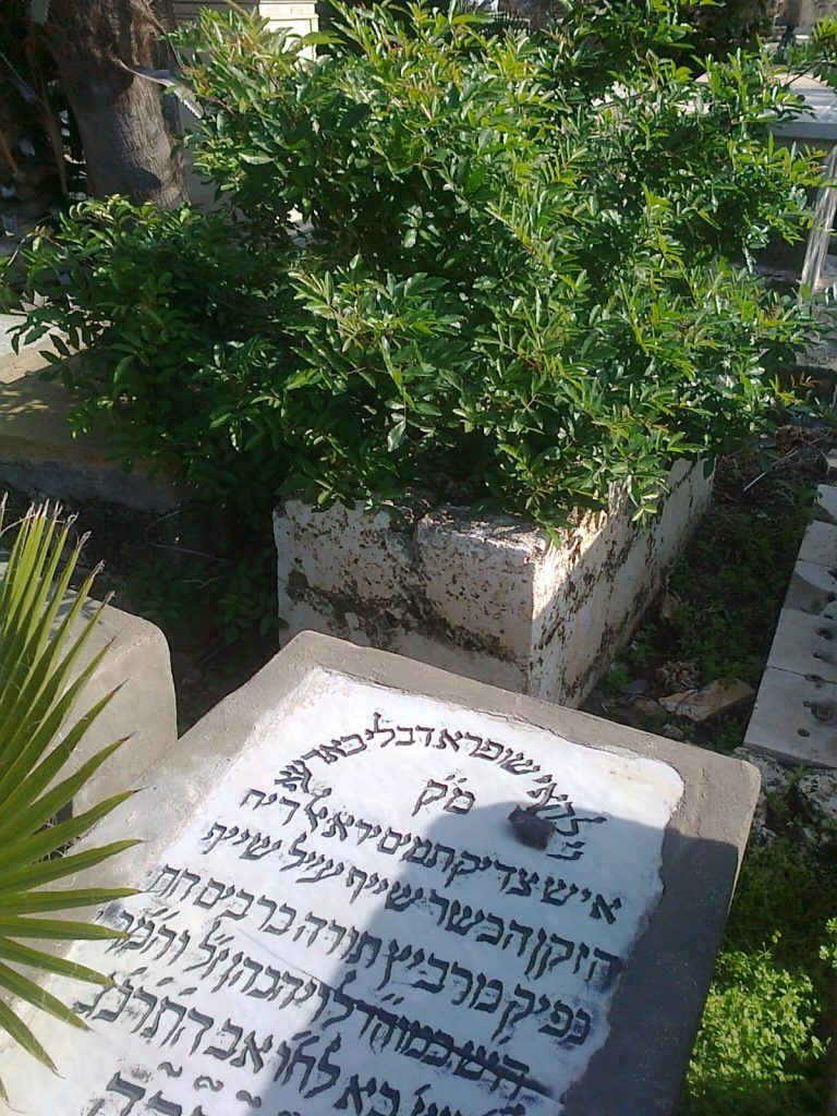 תיעוד: הזנחה משוועת בבית הקברות היהודי העתיק ביפו