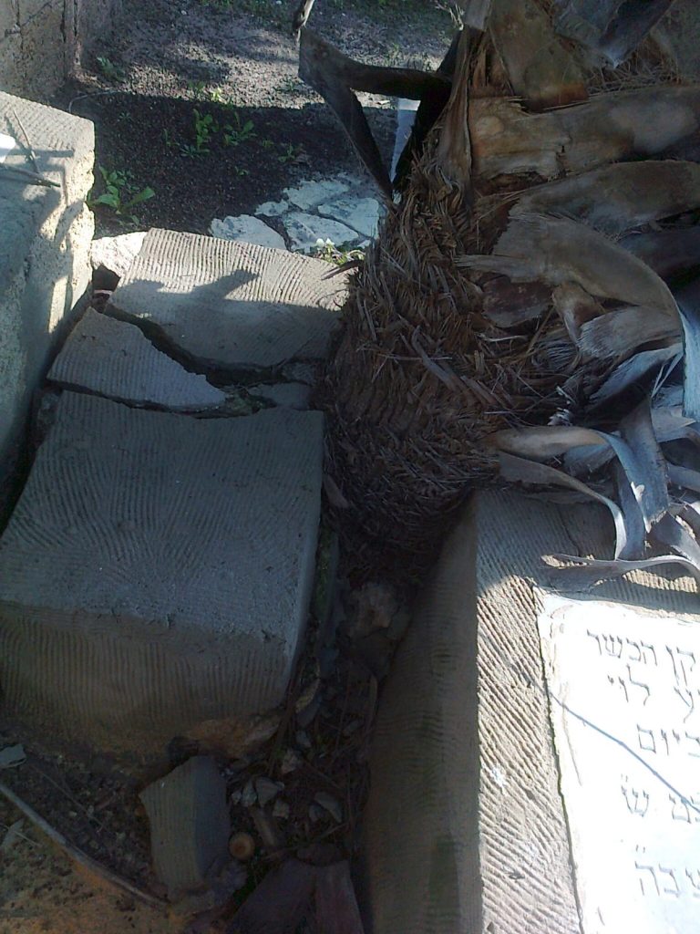 תיעוד: הזנחה משוועת בבית הקברות היהודי העתיק ביפו