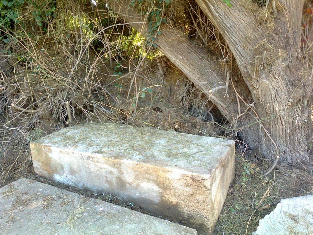 תיעוד: הזנחה משוועת בבית הקברות היהודי העתיק ביפו