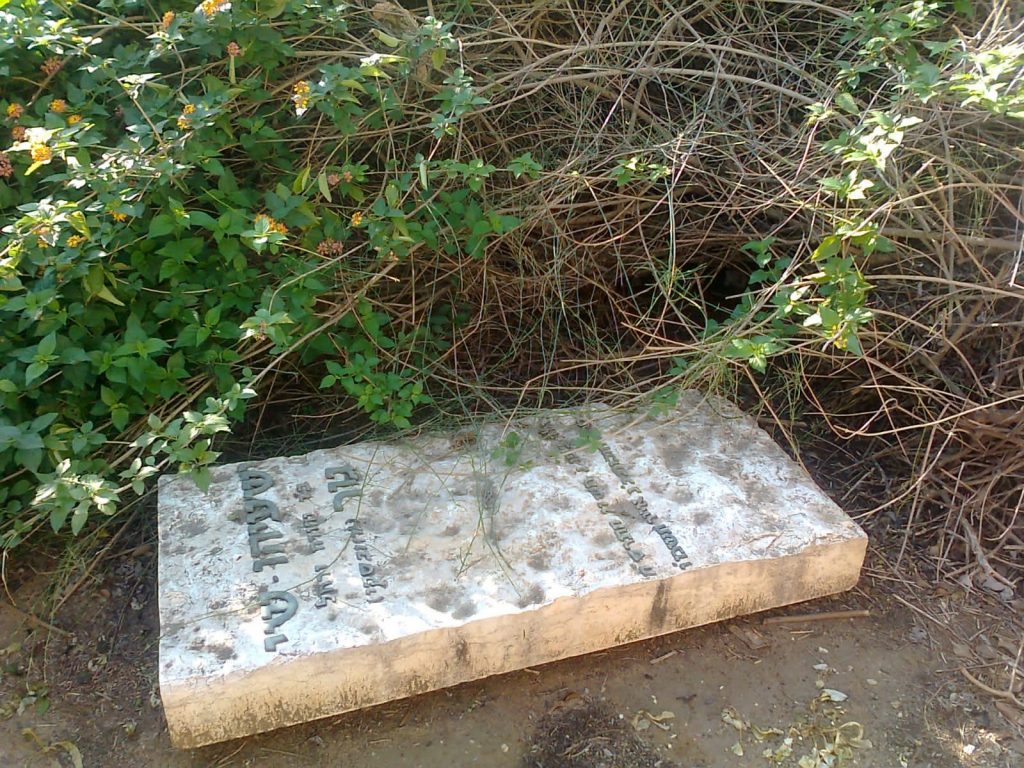תיעוד: הזנחה משוועת בבית הקברות היהודי העתיק ביפו