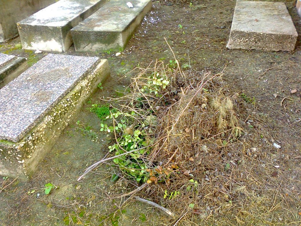 תיעוד: הזנחה משוועת בבית הקברות היהודי העתיק ביפו