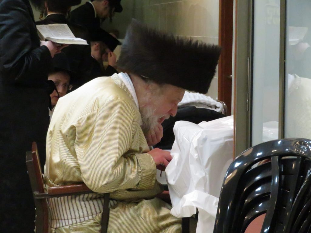 גלריה: האדמו''ר ממבקשי אמונה שבת בבני ברק גלריה: האדמו''ר ממבקשי אמונה שבת בבני ברק