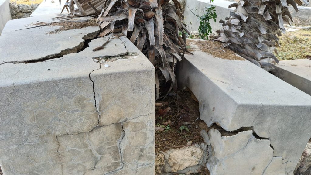 סערת ההזנחה בבית הקברות היהודי ביפו נמשכת • תיעוד