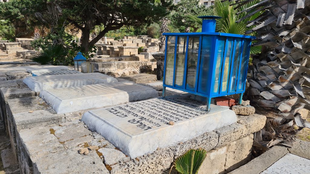 סערת ההזנחה בבית הקברות היהודי ביפו נמשכת • תיעוד