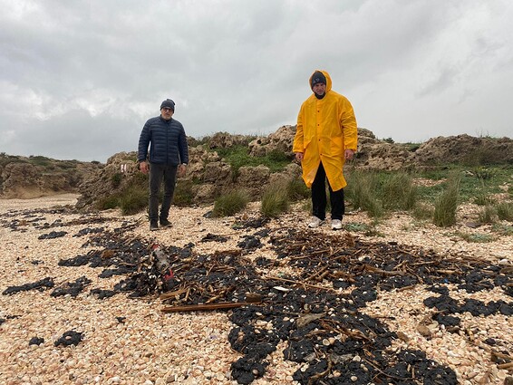 זיהום בחופי הארץ: שני פצועים ועשרות בע"ח מאדי הנפט