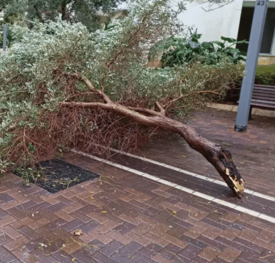 ההיערכות, הסערה, ונזקי הסופה • תמונות מרחבי הארץ