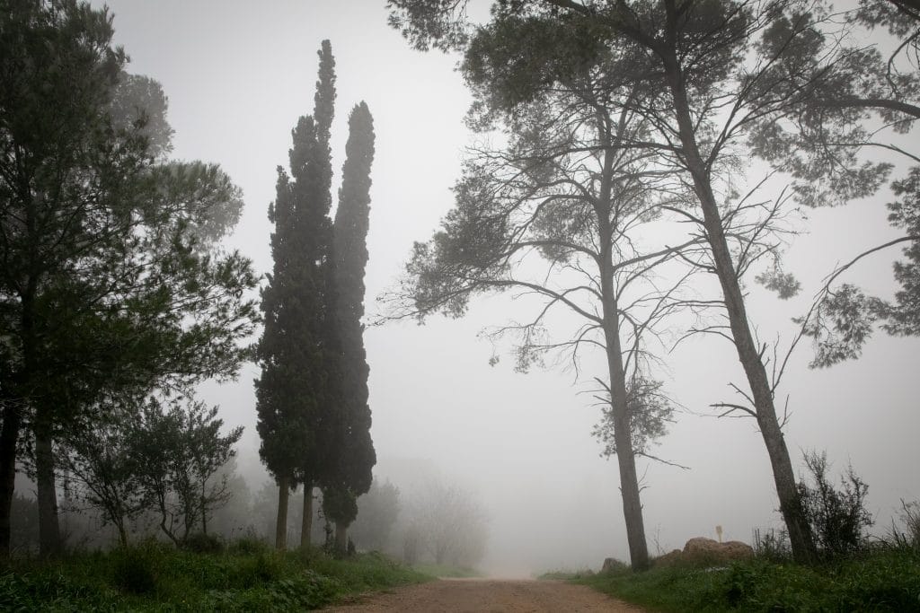ההיערכות, הסערה, ונזקי הסופה • תמונות מרחבי הארץ
