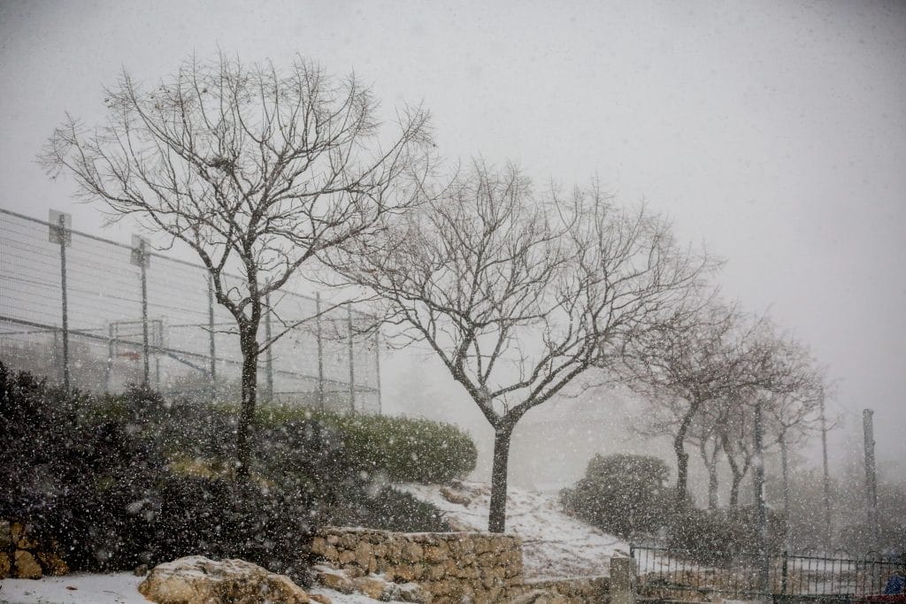 ההיערכות, הסערה, ונזקי הסופה • תמונות מרחבי הארץ
