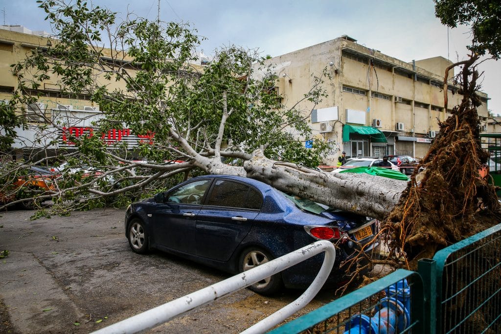 ההיערכות, הסערה, ונזקי הסופה • תמונות מרחבי הארץ