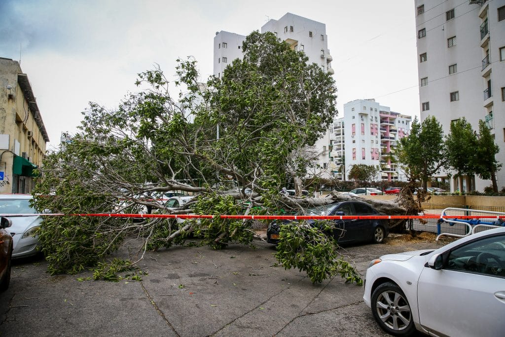 ההיערכות, הסערה, ונזקי הסופה • תמונות מרחבי הארץ