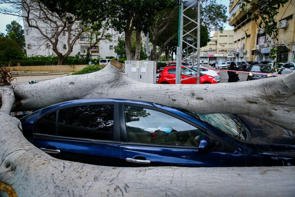 ההיערכות, הסערה, ונזקי הסופה • תמונות מרחבי הארץ