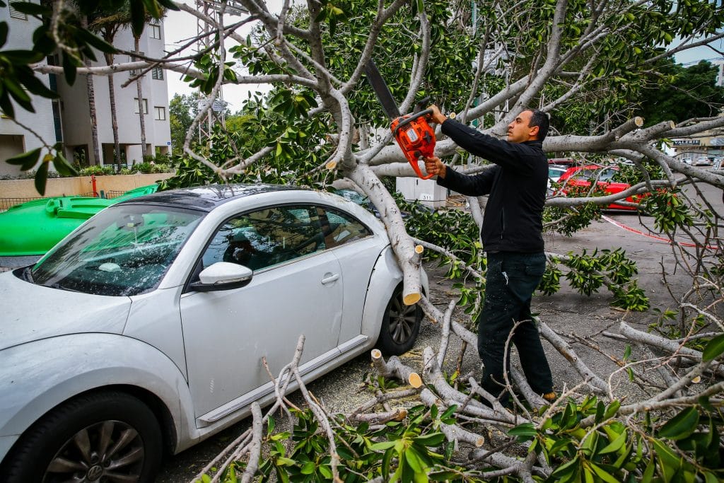 ההיערכות, הסערה, ונזקי הסופה • תמונות מרחבי הארץ