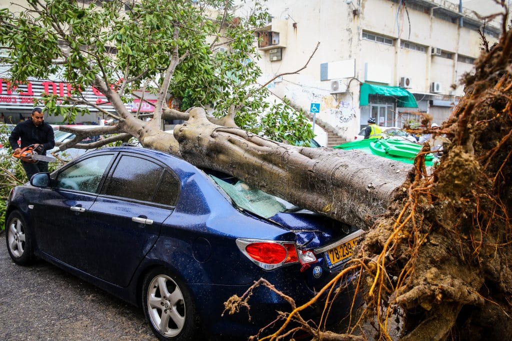 ההיערכות, הסערה, ונזקי הסופה • תמונות מרחבי הארץ