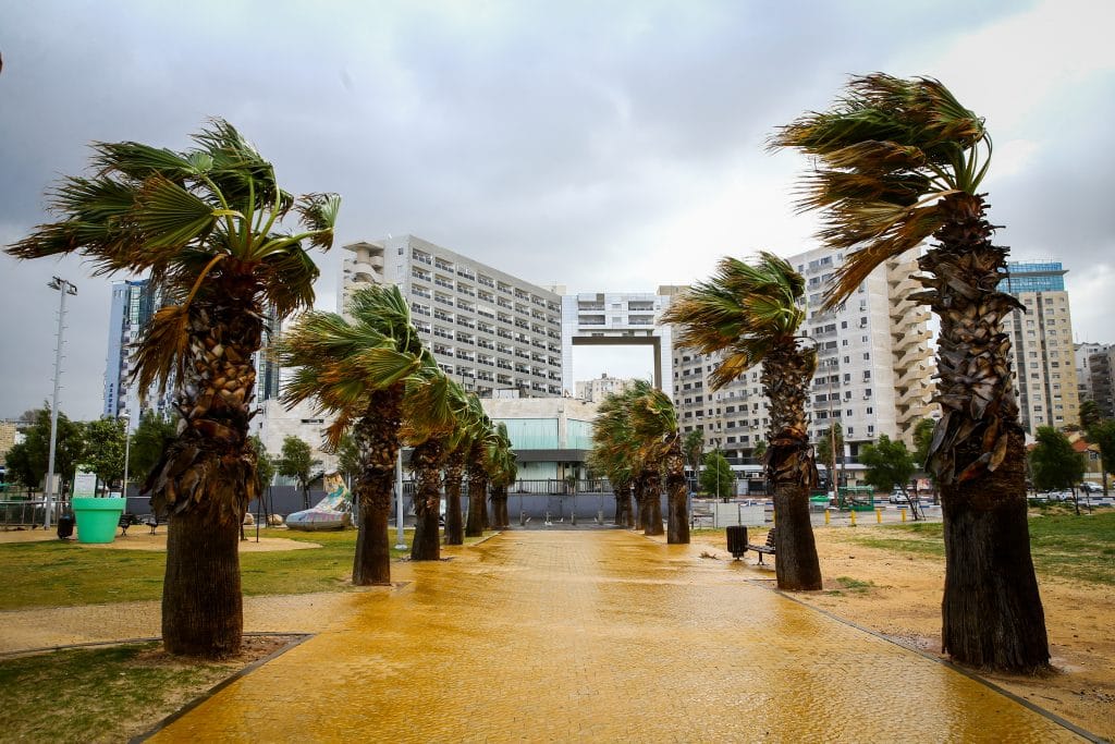 ההיערכות, הסערה, ונזקי הסופה • תמונות מרחבי הארץ