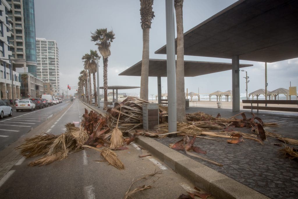 ההיערכות, הסערה, ונזקי הסופה • תמונות מרחבי הארץ