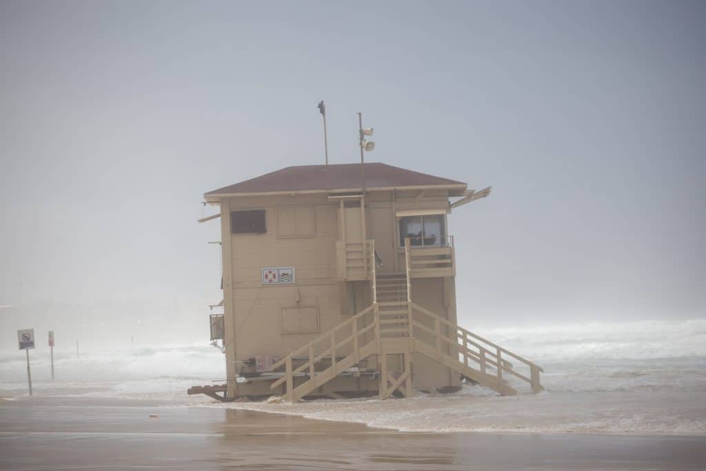 ההיערכות, הסערה, ונזקי הסופה • תמונות מרחבי הארץ