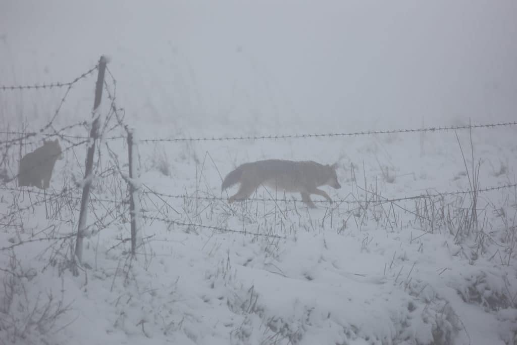 ההיערכות, הסערה, ונזקי הסופה • תמונות מרחבי הארץ